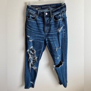 American Eagle brand distressed jeans with floral embroidery.